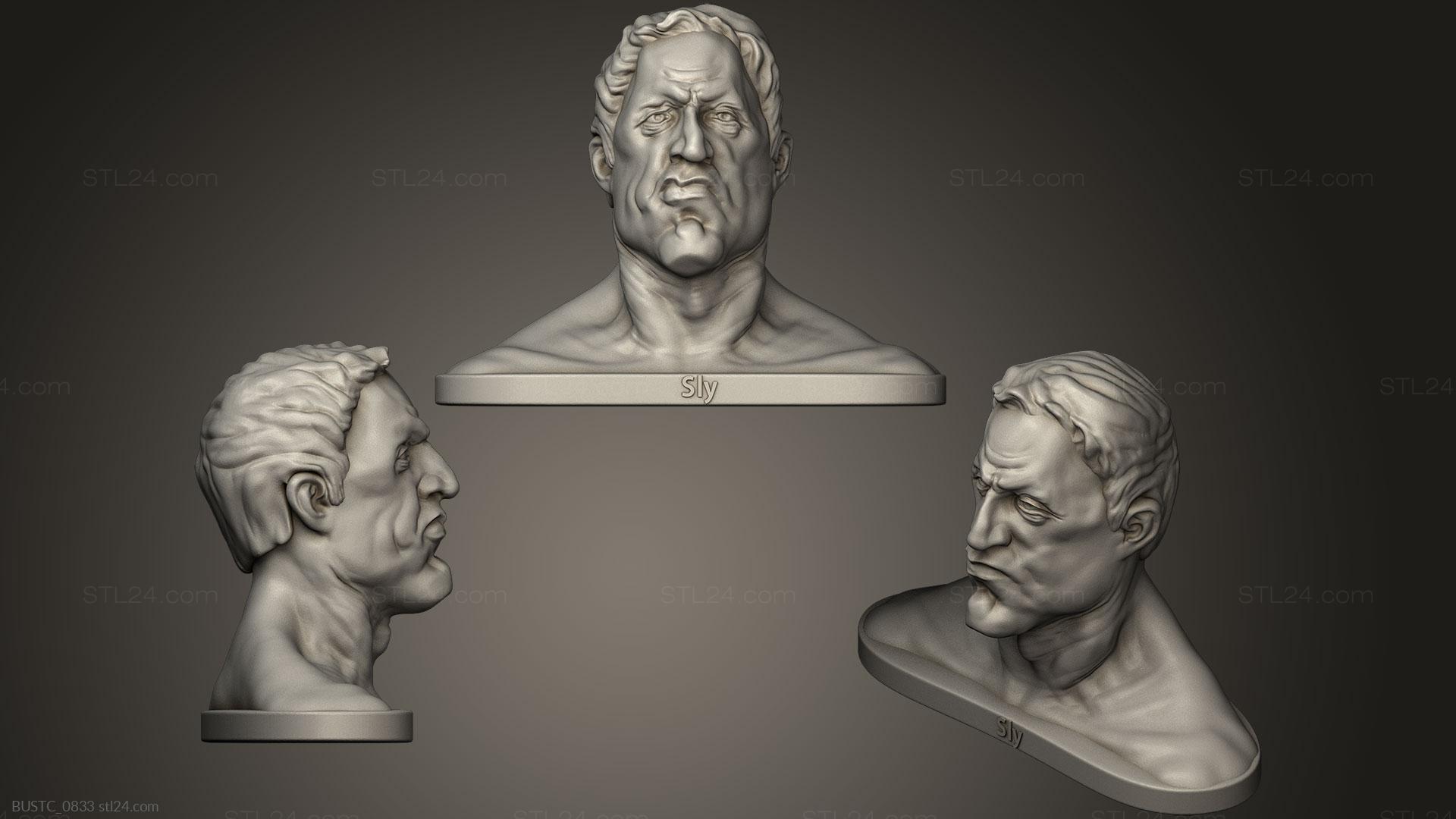 Бюсты и барельефы известных личностей (Слай, BUSTC_0833) 3D модель для ЧПУ станка
